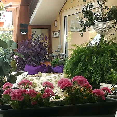 La Preferita Privatunterkunft Vibo Valentia